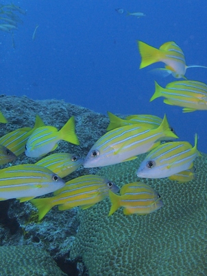 b0138768_5374952.jpg