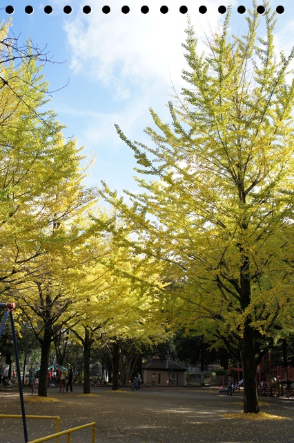 b0192470_2222878.jpg