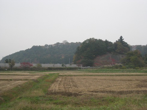 a0087378_66424.jpg