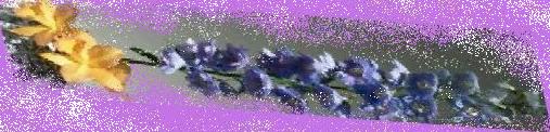 e0204483_1205273.jpg