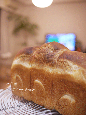 a0150193_0545593.gif