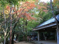 d0212993_16442860.jpg