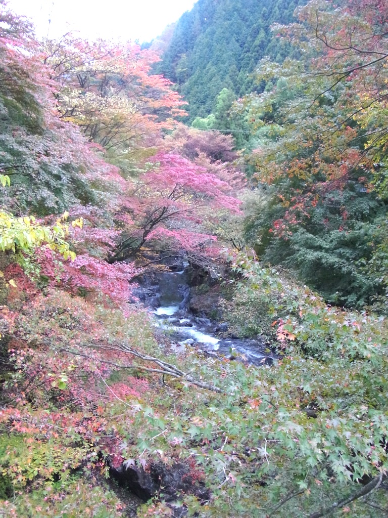 e0107493_23502710.jpg