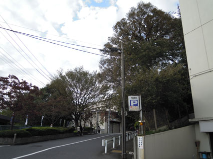 e0153994_23111922.jpg