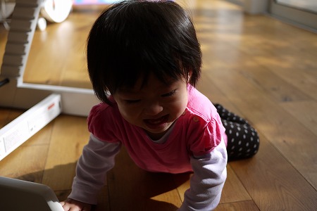 d0250799_1447418.jpg