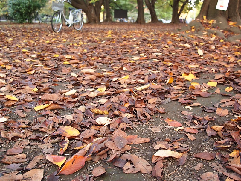 c0187503_22432170.jpg