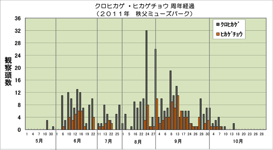 クロヒカゲ・ヒカゲの周年経過_e0253104_2144591.jpg