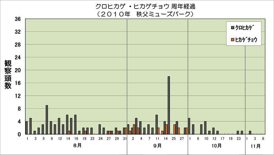 クロヒカゲ・ヒカゲの周年経過_e0253104_2145394.jpg