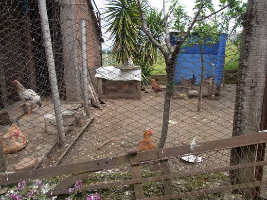 c0109306_11231312.jpg