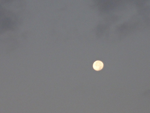 a0206808_16544048.jpg