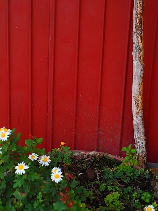 c0156908_2215192.jpg