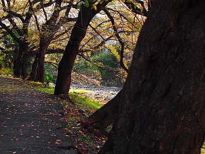 c0156908_22161157.jpg