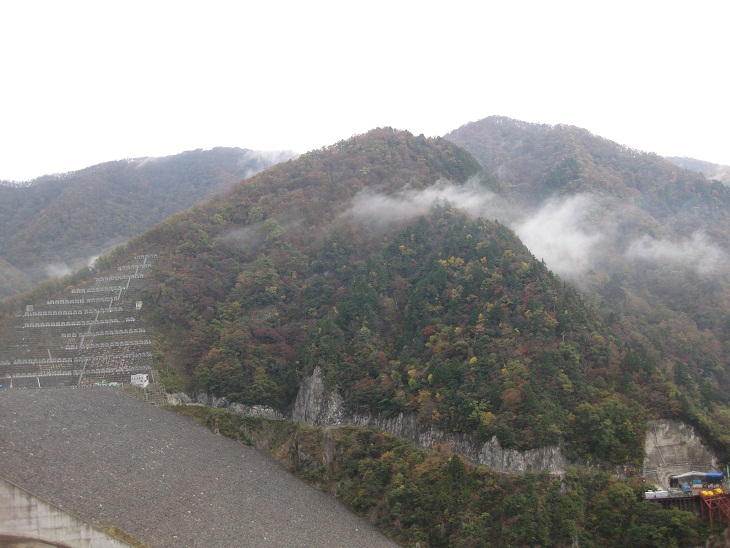 f0179209_16382733.jpg