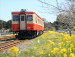 11月１２日　いすみ鉄道に萌えキャラ_d0012611_1382716.jpg