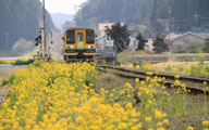 d0012611_14119100.jpg