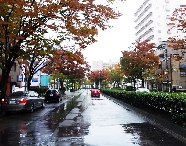 新潟の秋雨の日_d0039111_18125527.jpg