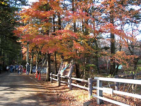 f0032812_20282972.jpg