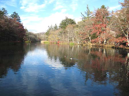 f0032812_20325640.jpg