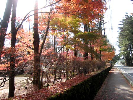 f0032812_20381528.jpg