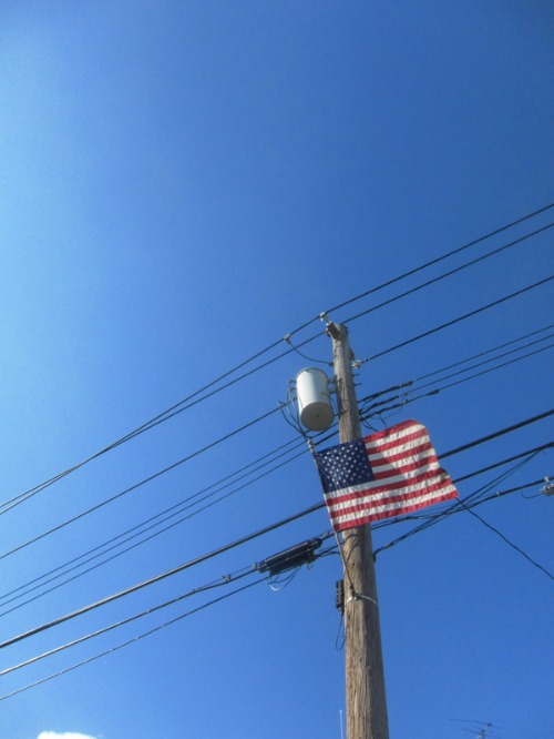 c0120817_3535247.jpg