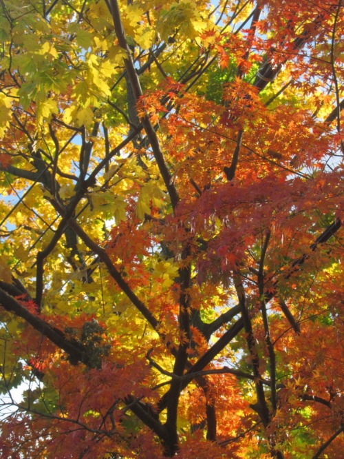 c0120817_3543277.jpg
