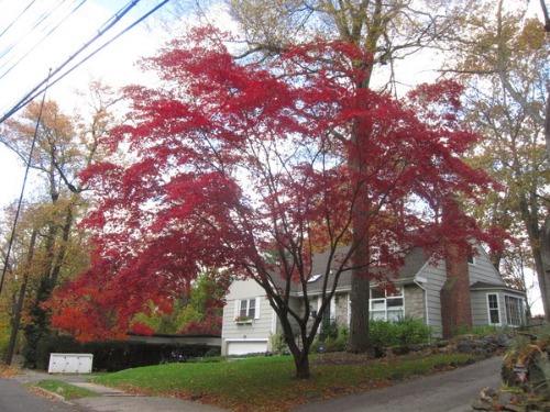 c0120817_3544440.jpg