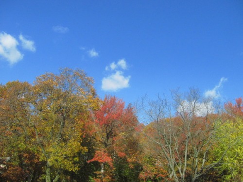 c0120817_3545523.jpg