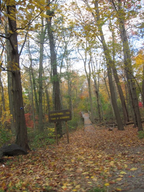c0120817_3551198.jpg