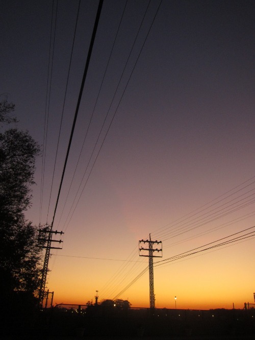 c0120817_357410.jpg