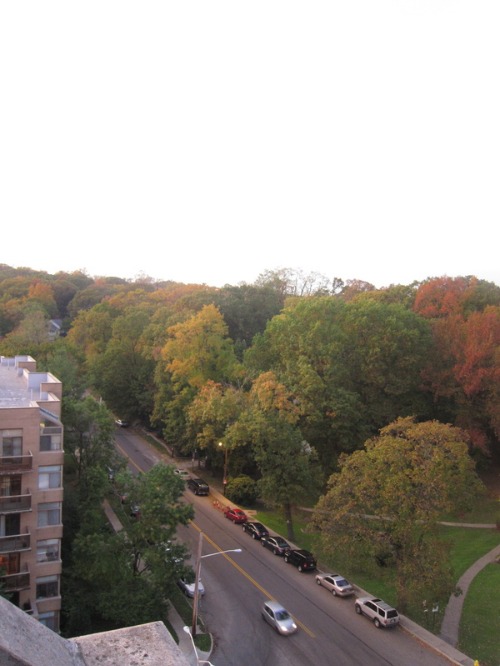 c0120817_3574334.jpg