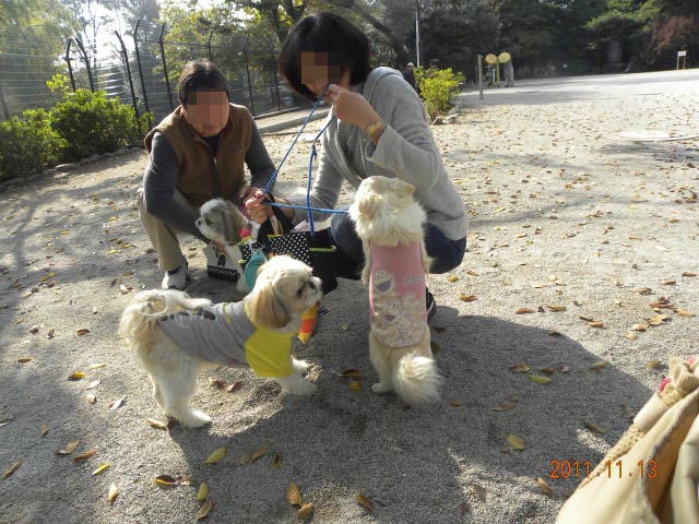 b0203018_1711243.jpg
