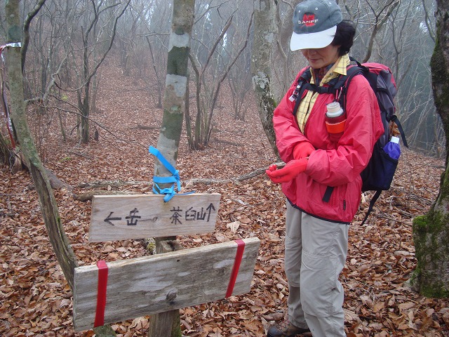 f0193521_8532756.jpg