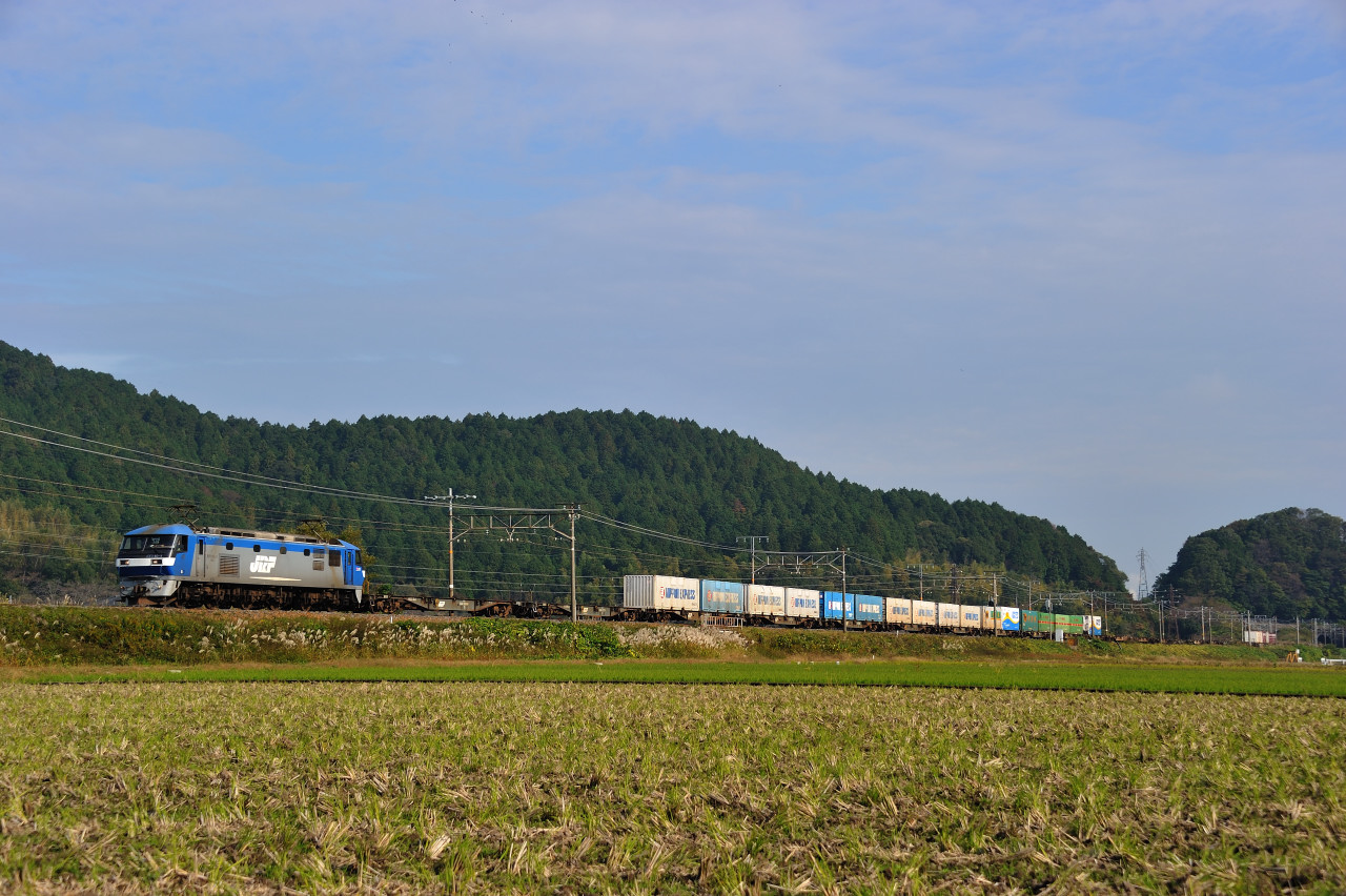 【オーシャンアロー救援列車　甲263　9481レ　＠安土-能登川】　11’11/13_d0146423_1839825.jpg