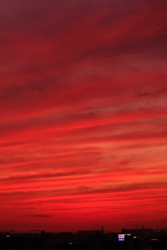 a0145825_9171996.jpg