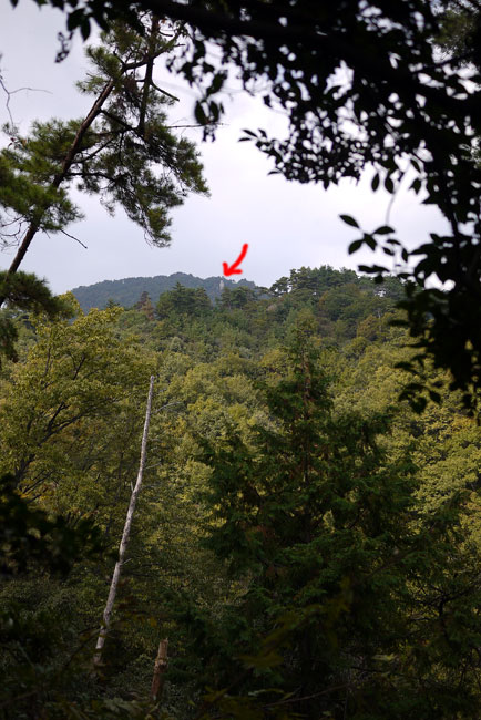 c0064025_2053561.jpg