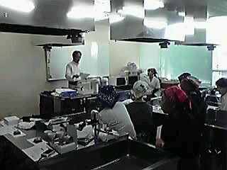 和菓子教室を終えて・・・_a0078827_21524620.jpg