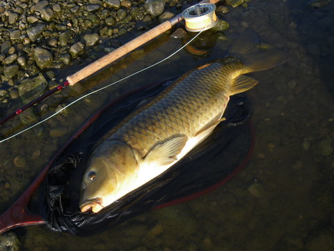 c0202727_20123973.jpg