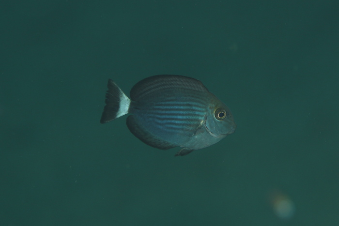 c0034029_8591446.jpg