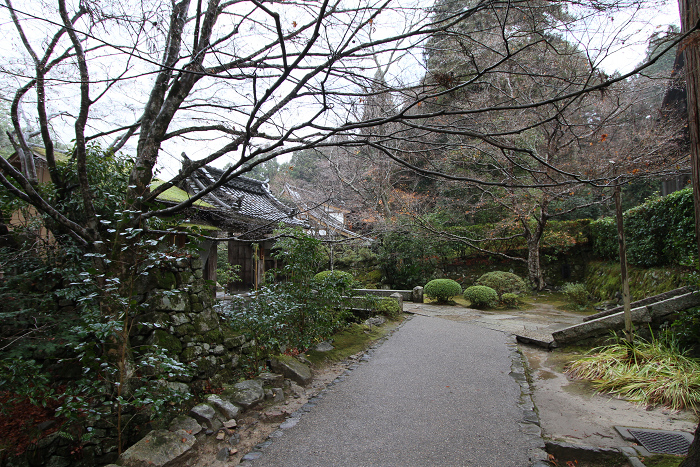 初冬の大原へ －宝泉院－_b0169330_1845522.jpg