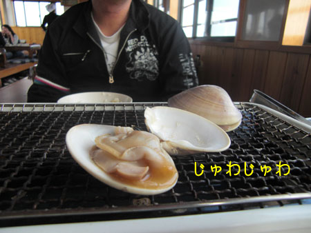 ■房総半島旅行～１日め～海でビビって600坪のドッグラン付宿で満腹～_a0190132_17584499.jpg