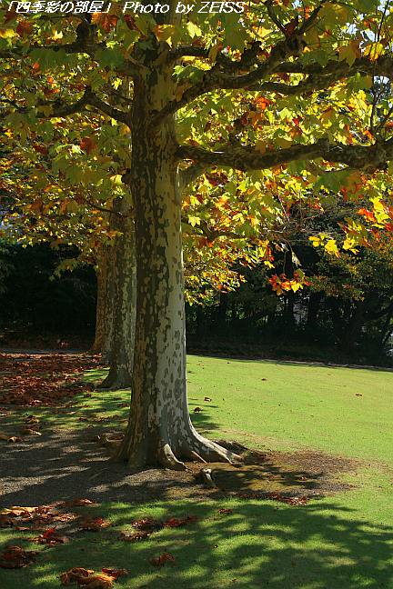 a0195032_2012145.jpg