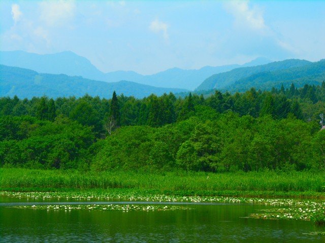 a0206332_855822.jpg