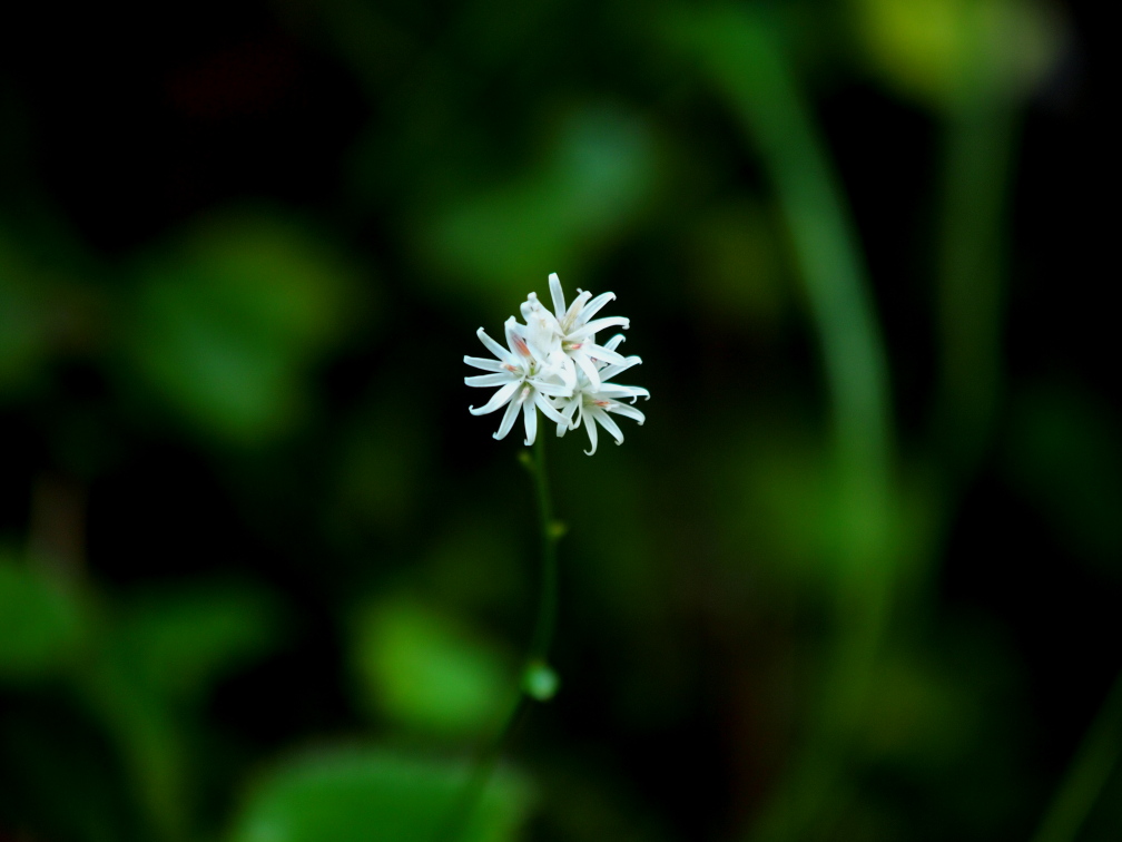 b0201233_2314182.jpg