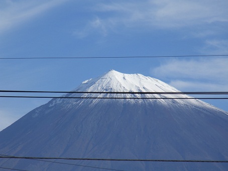 マーガレットの水彩画とデコレーション額_b0089338_21314650.jpg