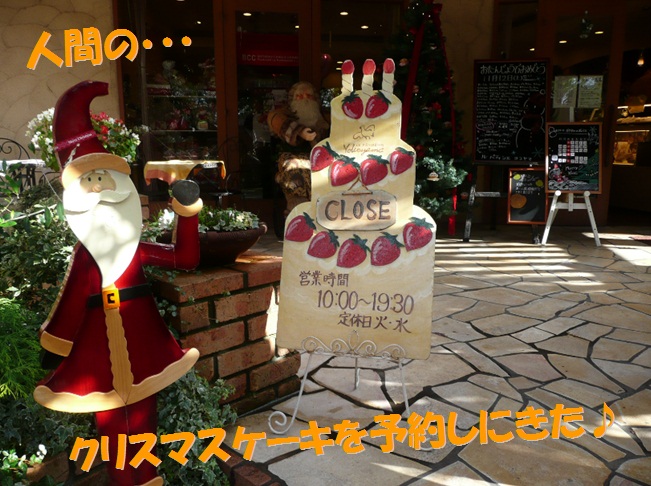 クリスマスケーキの予約♪_c0147241_21442367.jpg