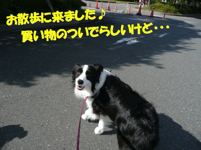 c0147241_21443662.jpg
