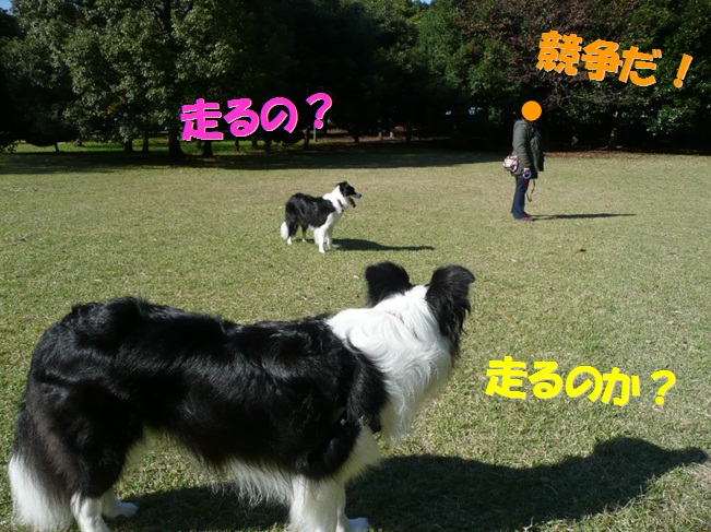 c0147241_21445775.jpg