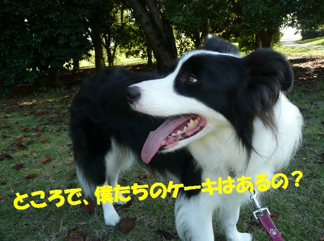 c0147241_21451567.jpg