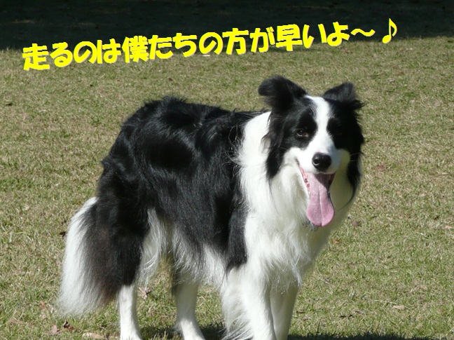 c0147241_2145231.jpg