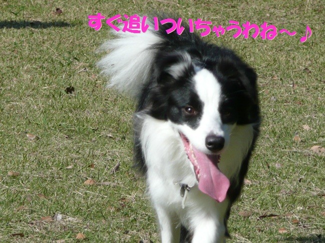 c0147241_2145731.jpg